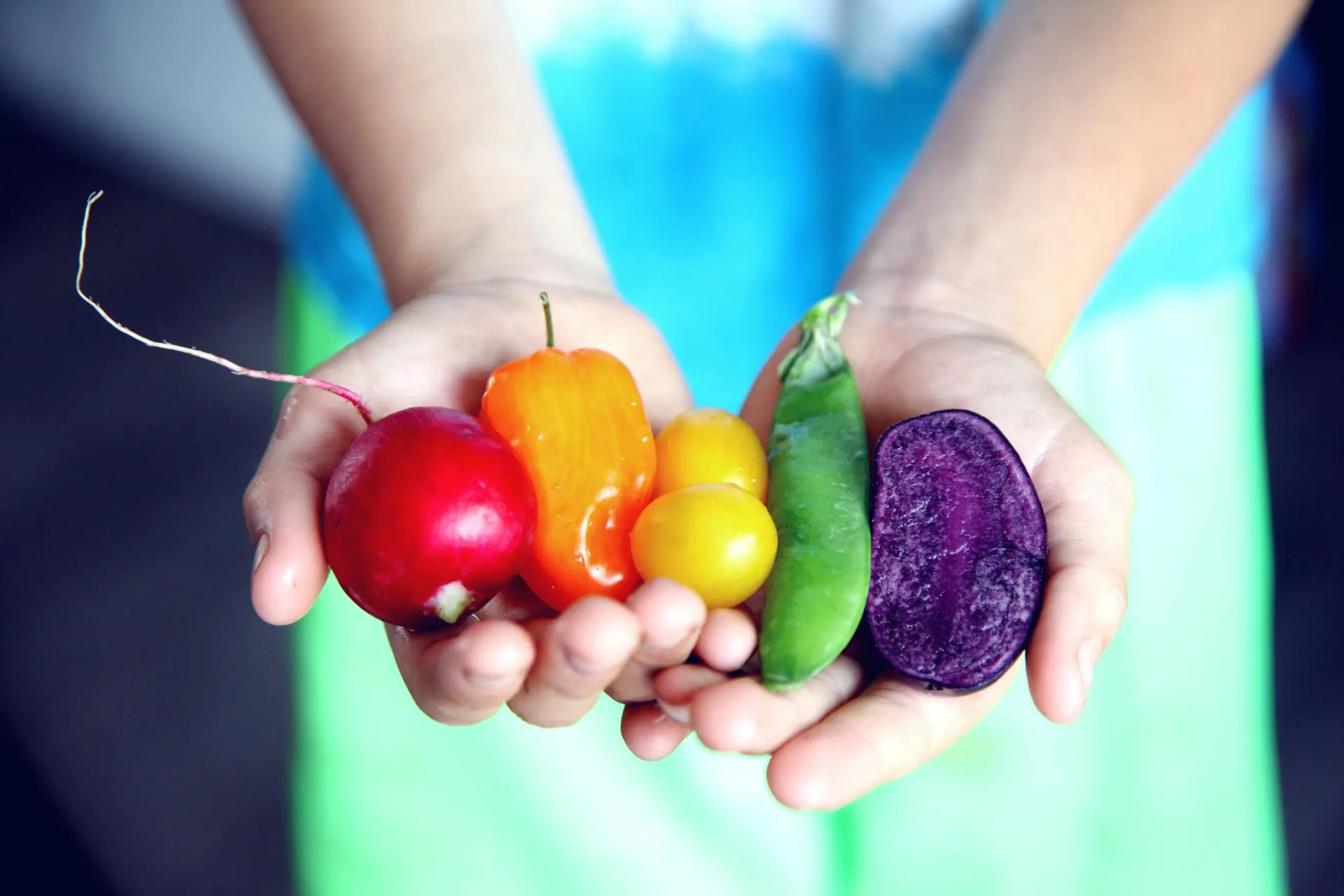 Alimentación balanceada y hábitos